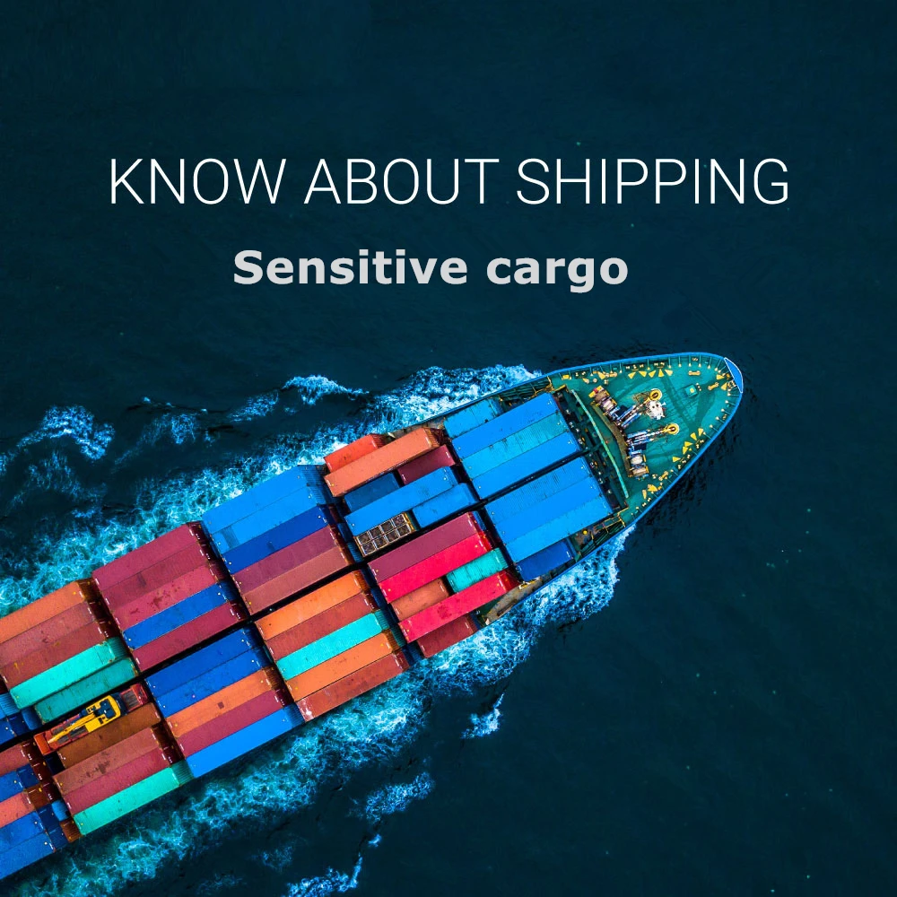 DDP with consolidation service E-C I G  cargo air Shipping Cargo Agent To Latvia/Estonia By sendtro shipping