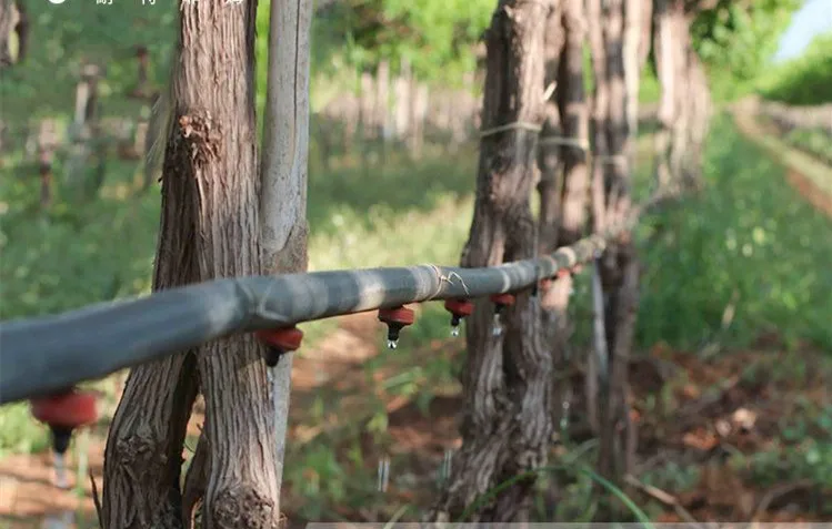 low price 2L irrigation dripper for agriculture drip irrigation system