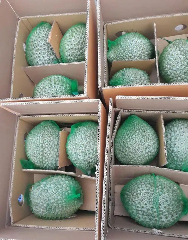 DURIAN RI6 Vietnam In Season 2021