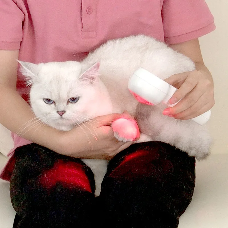 Portable Red Light Laser Therapy Device With Display 808nm 650nm For Pets Wound Healing Physiotherapy