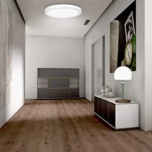 5 Years Warranty 9Inch LED Slim Ceiling Light 2000LM LED Flush Mount 3CCT Dimmable LED Surface Mount Panel