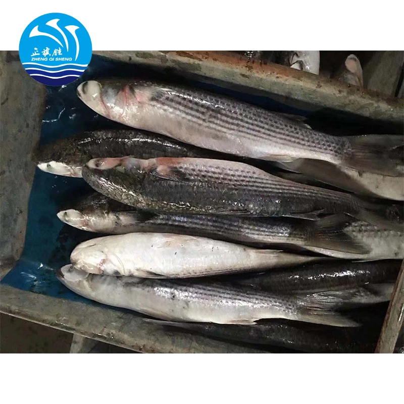 Китайские морепродукты замороженные овощи 6-7 шт. в коробке серый муллет