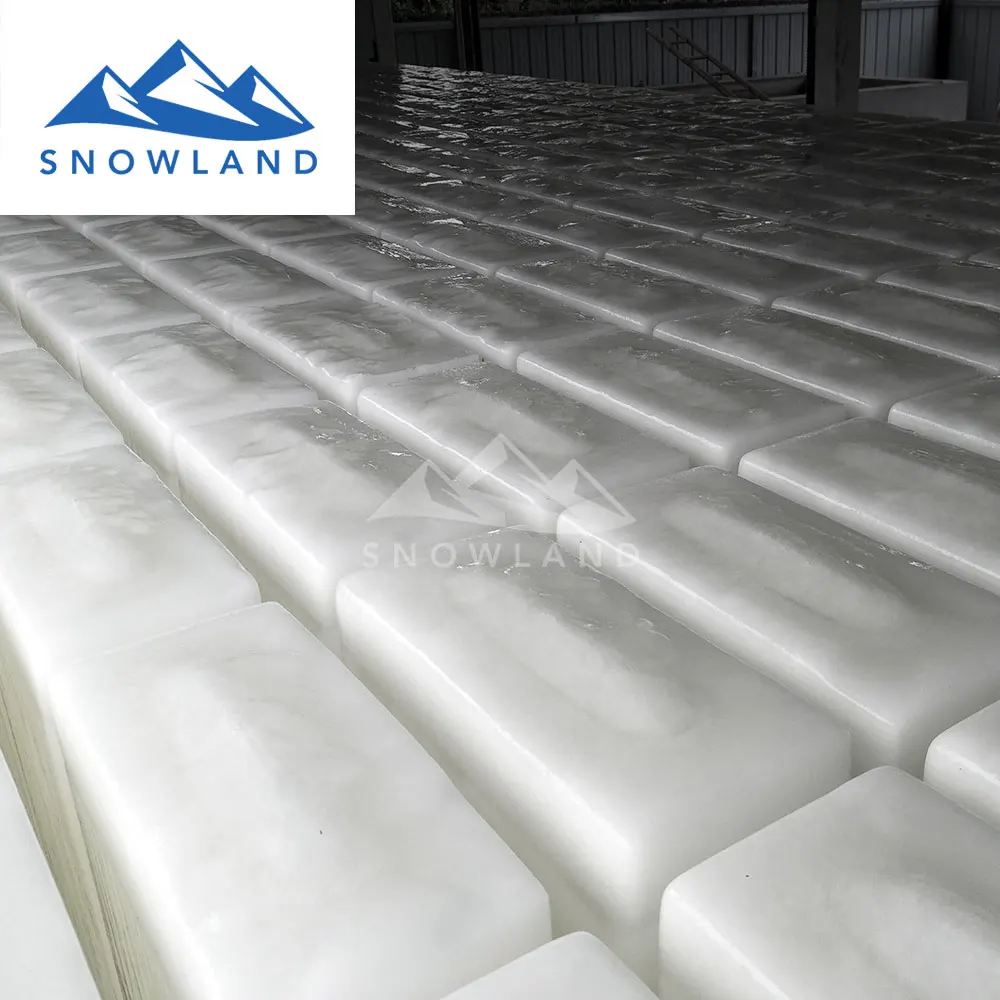 germany ice maker with 4 ton capacity block ice