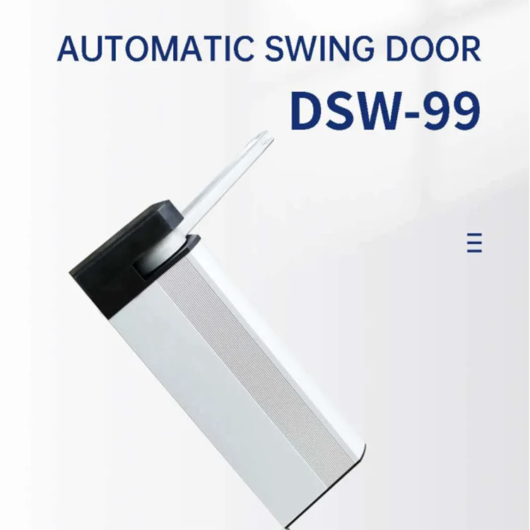 DSW99--01