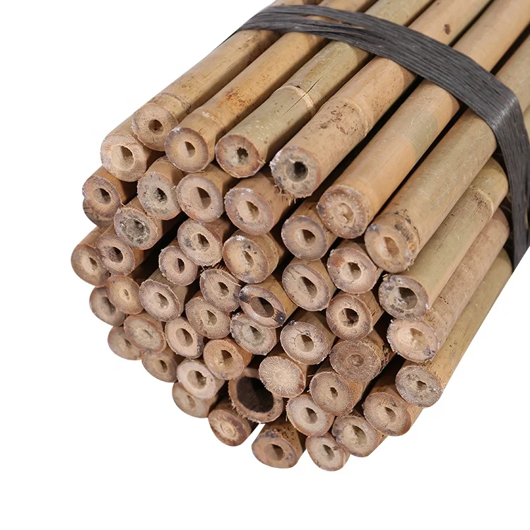 High Quality  Bamboo Poles , Bamboo stakes for plants Standfor plant support