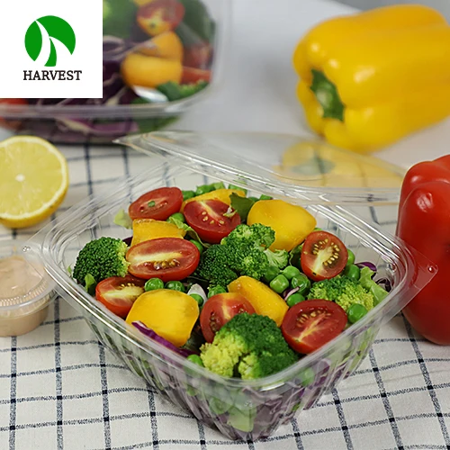 Disposable plastic square hot sale fast food box for takeaway