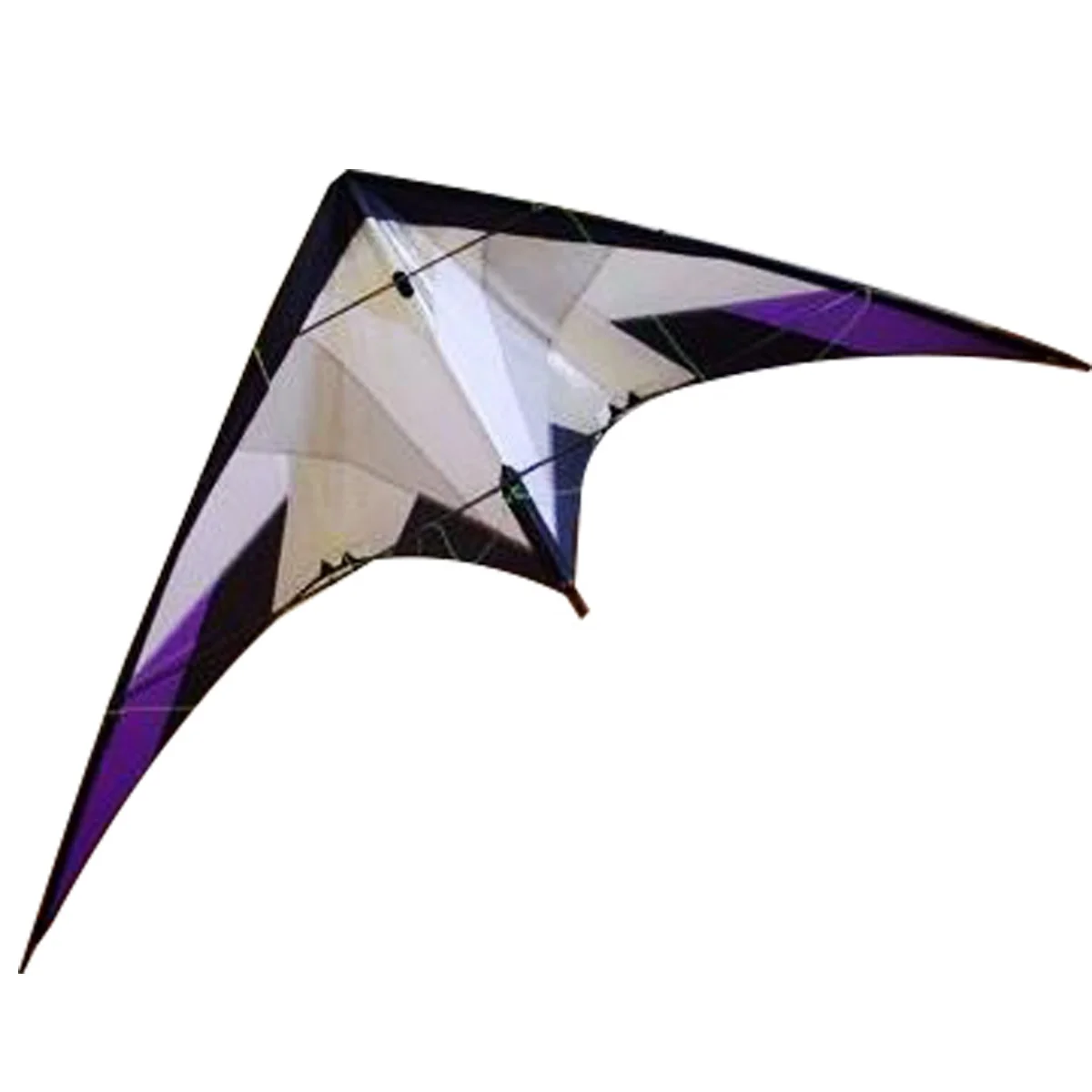Amazon custom made  dual line ripstop polyester  stunt  kite  for sale