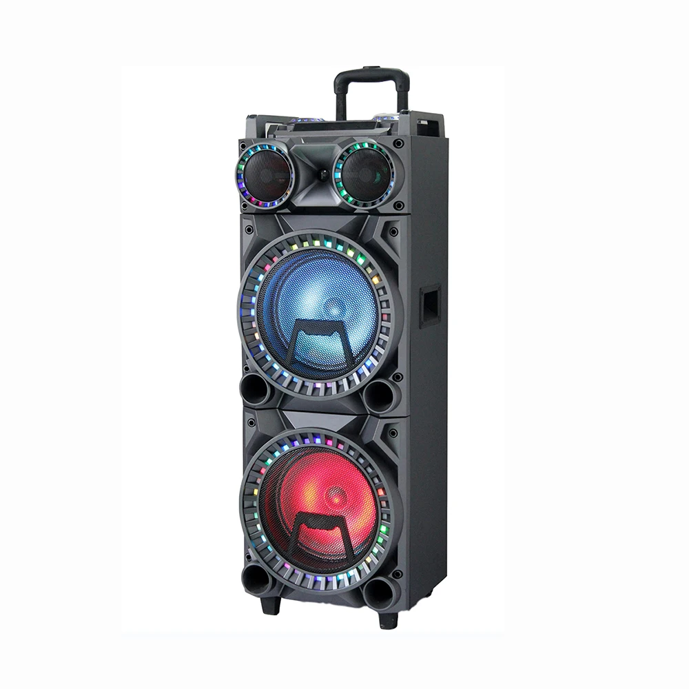 Big karaoke mic amplifier module active speaker with TWS DSP USB, SD, LED digital display