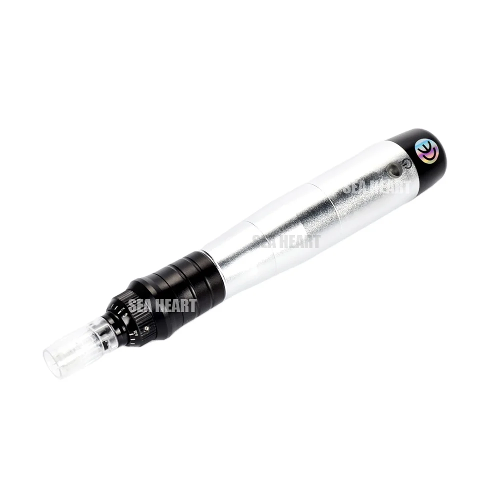 Hot Sale Derma Pen 2022 Microneedle Electric Dermapen A6 R1