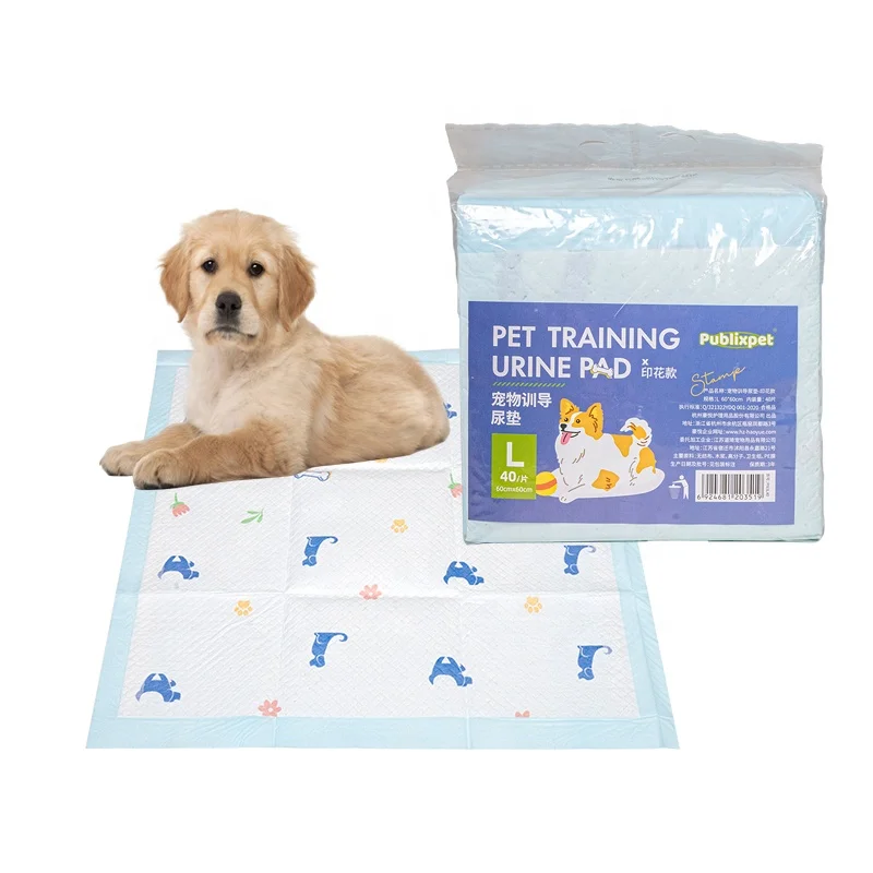 Wholesale Print Pattern Super Absorbent Disposable 5 Layer Pet Diaper Dog Training Pee Pad