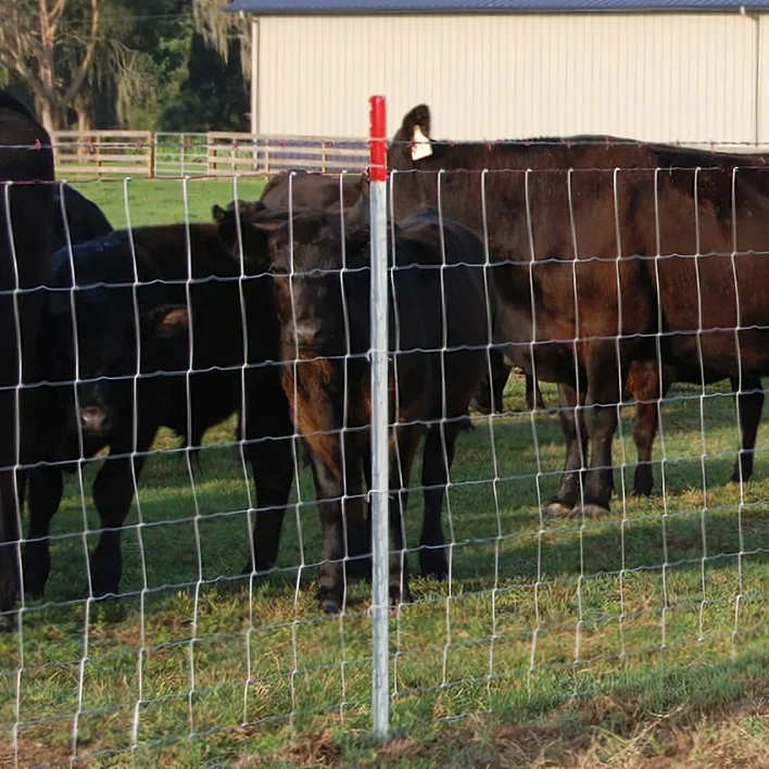 Selling Metal Livestock Farm Fence Wire Mesh Galvanized