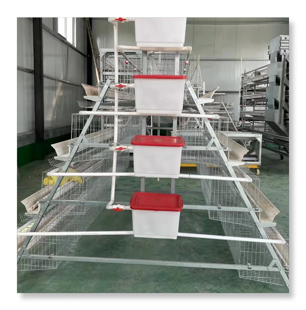 The most popular Layer Chicken Cage Battery Cages Laying Hens Poultry Farm