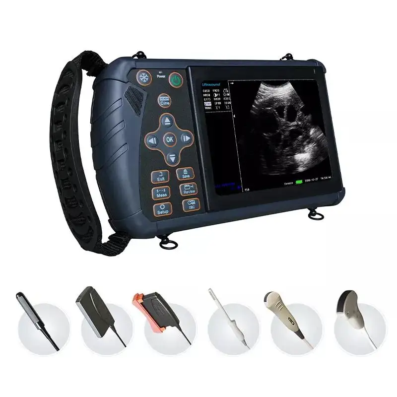 EURPET Hot Sell Portable Handheld LED Ultrasound Therapy Device With HD Video High Intensity Focused Ultrasound