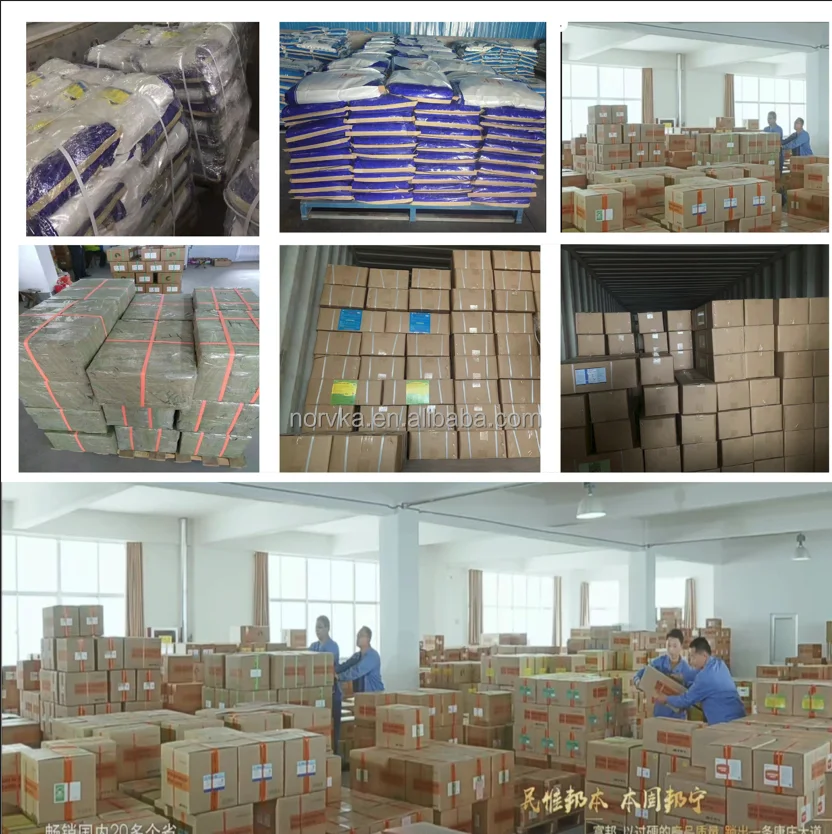 victory pills racing pigeon product for intestinal health protection supplement six in one  capsules