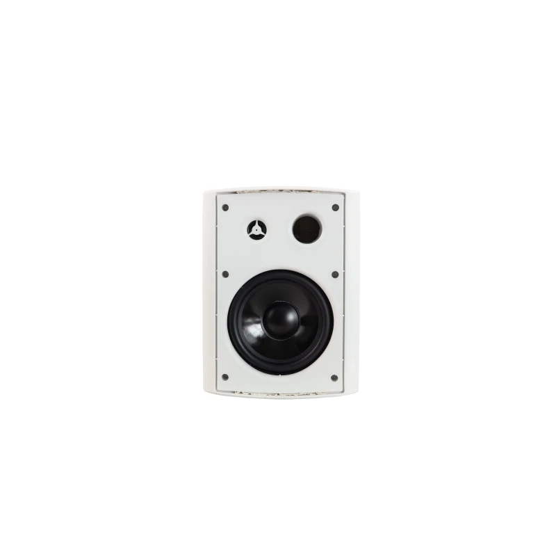DUAL USE speaker factory hot-selling wall-mounted speakers suitable for various places multi-function speakers