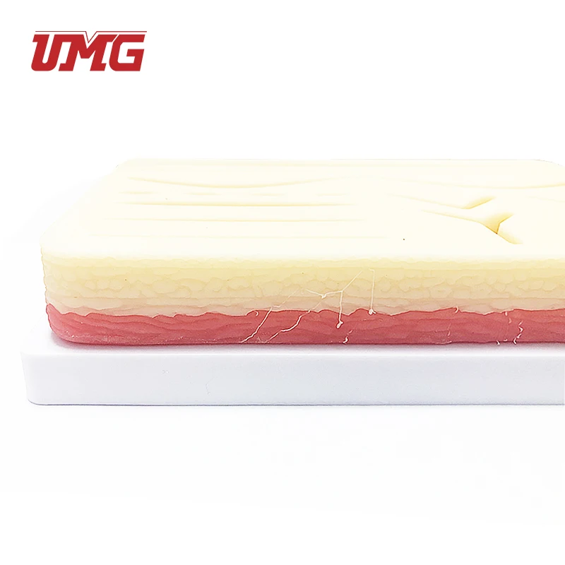 Medical Science Teaching Resources Durable Use Skin Silicone Suture Training Pad model with Cut Wound