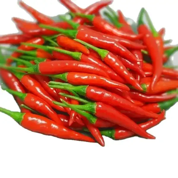 High Quality Low Cost Raw Fresh Hot Spice And Herb Large Red Chili Peppers Sweet Red Paprika Chilli Pepper Cooking Spice