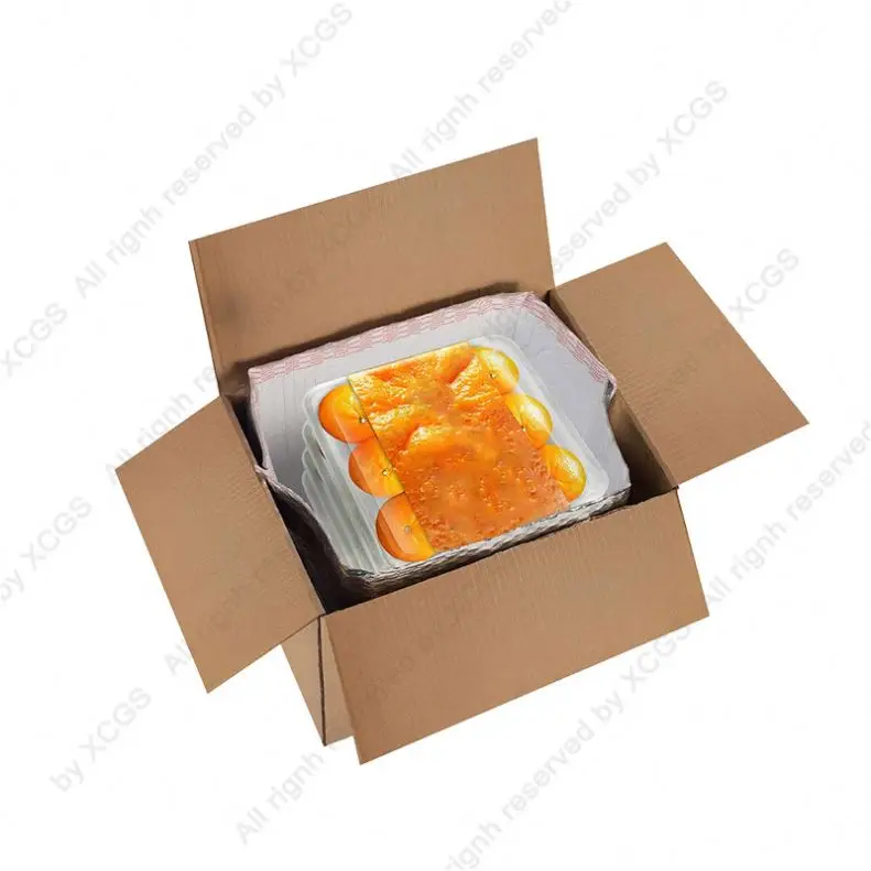 High Capacity Wholesale Chilled Meat Cold Chain Keep Fresh Shipping Insulated Box Liners With Logo Custom Printed