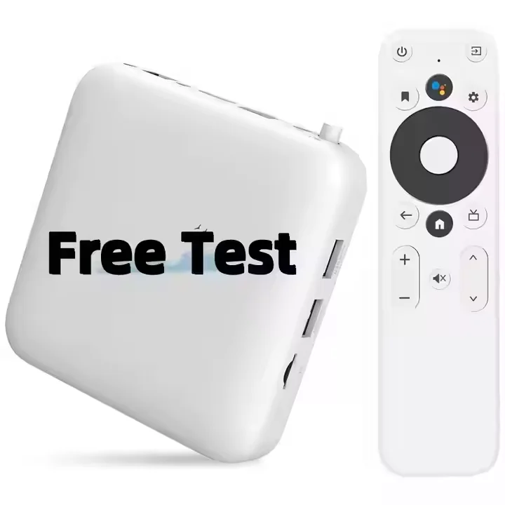 Dual WIFI Smart Supports 4K Video Decoding Android 14 dual wifi 4k Tv Free Test for tv