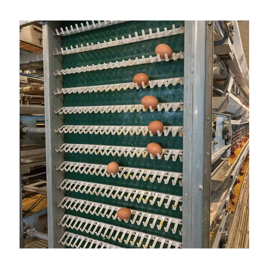 Клетка для птицефермы автоматическая гальванизированная ячейка цыплят и животных