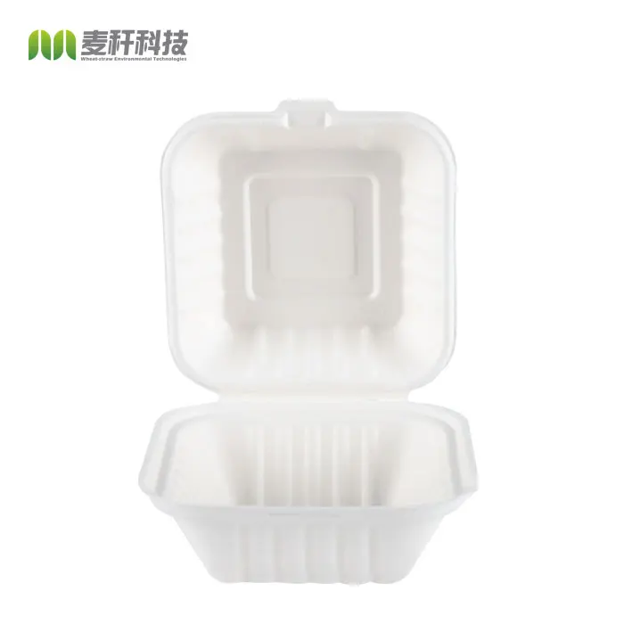 Restaurant supplies catering wholesale disposable biodegradable Ecofriendly Box takeaway Lunchbox