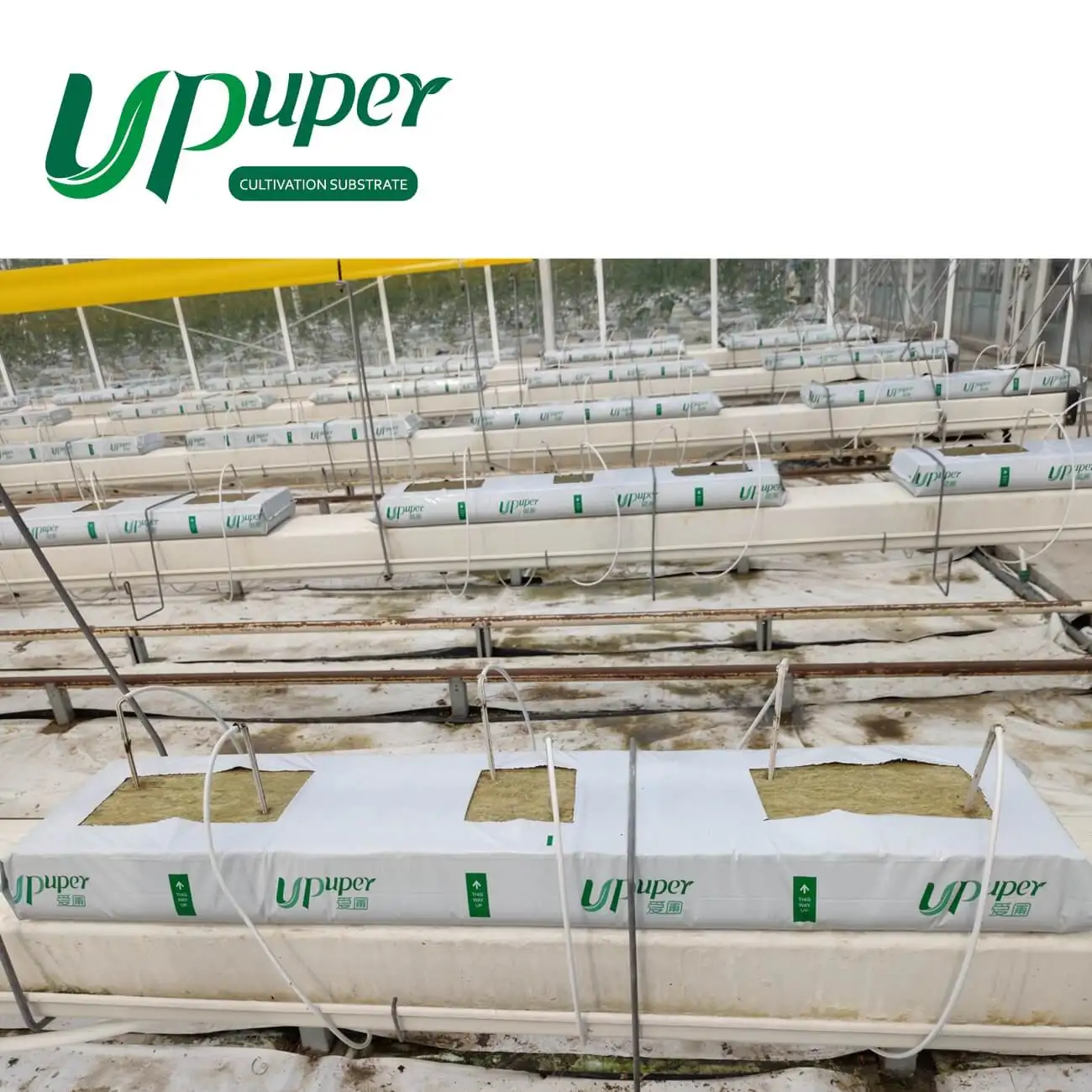 UPuper 40x8x3 inch Agriculture Tomato Cultivation Greenhouse Indoor Hydroponic Grow Systems Rock Wool Grow Slabs