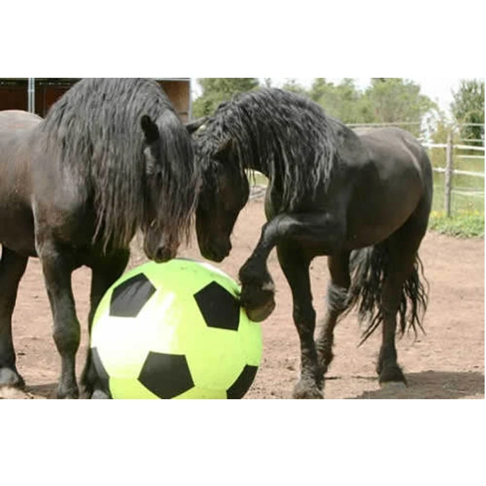 40-Inch Mega Ball Cover for Horses
