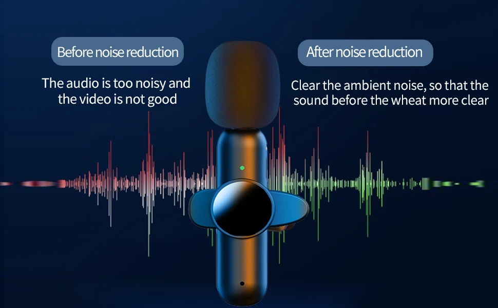 Portable 2 In 1 Wireless Microphone Interview Audio  Broadcast Comic For Horn Videos Recording