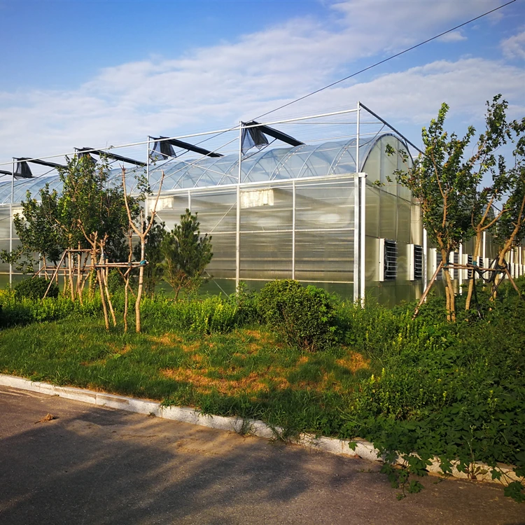Agricultural Greenhouse Price