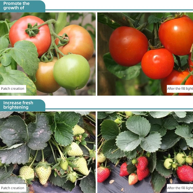 HUAYING 2023 Grow Lamp Full Spectrum Hydroponics Indoor SMD2835 Plants 24w 36W LED Grow Lights Bar