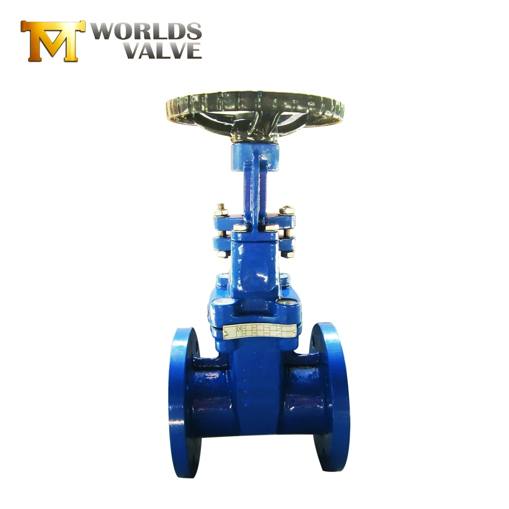 Drawings custom made cast iron rising stem flanged steel water seal gate valve