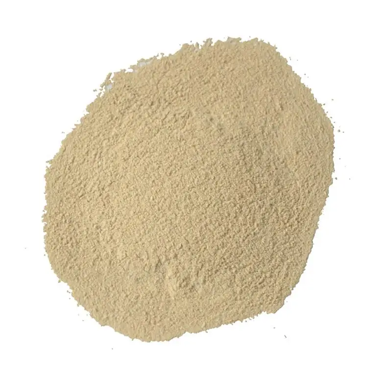 Veterinary Probiotics Powder for Animals Birds Racing Pigeon Supplies Enhance Immunity