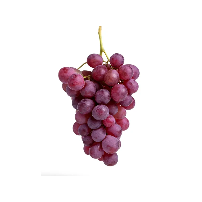 Grapes Fresh Brazil Low Price  Delicious 100% Natural Export Production Line Fresh Grapes
