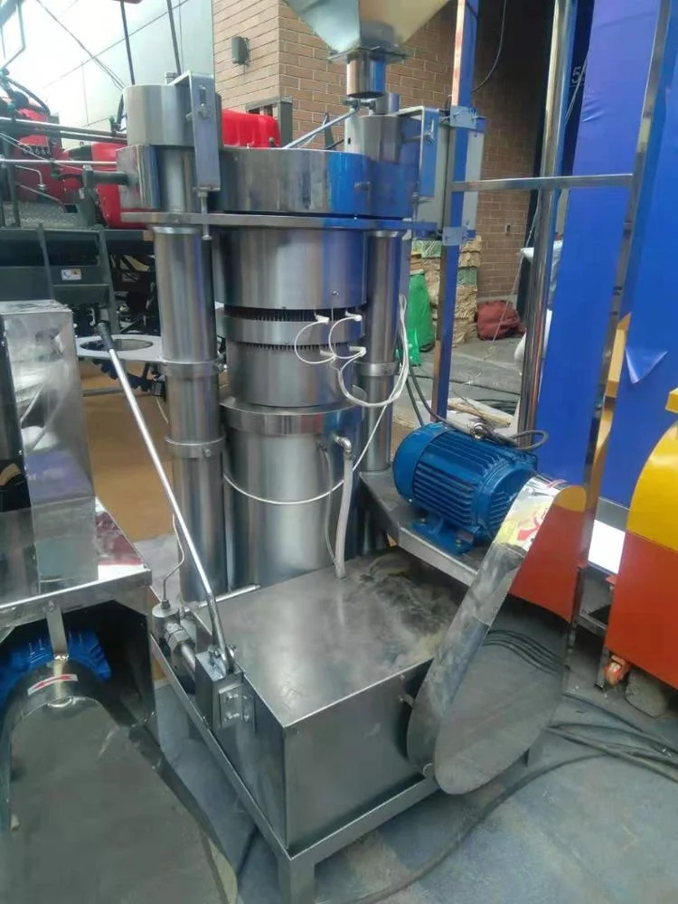 New Brand Hazelnut Walnut Rosehip Rice  Seed Automatic Cold Oil Extraction Hydraulic Press Machine