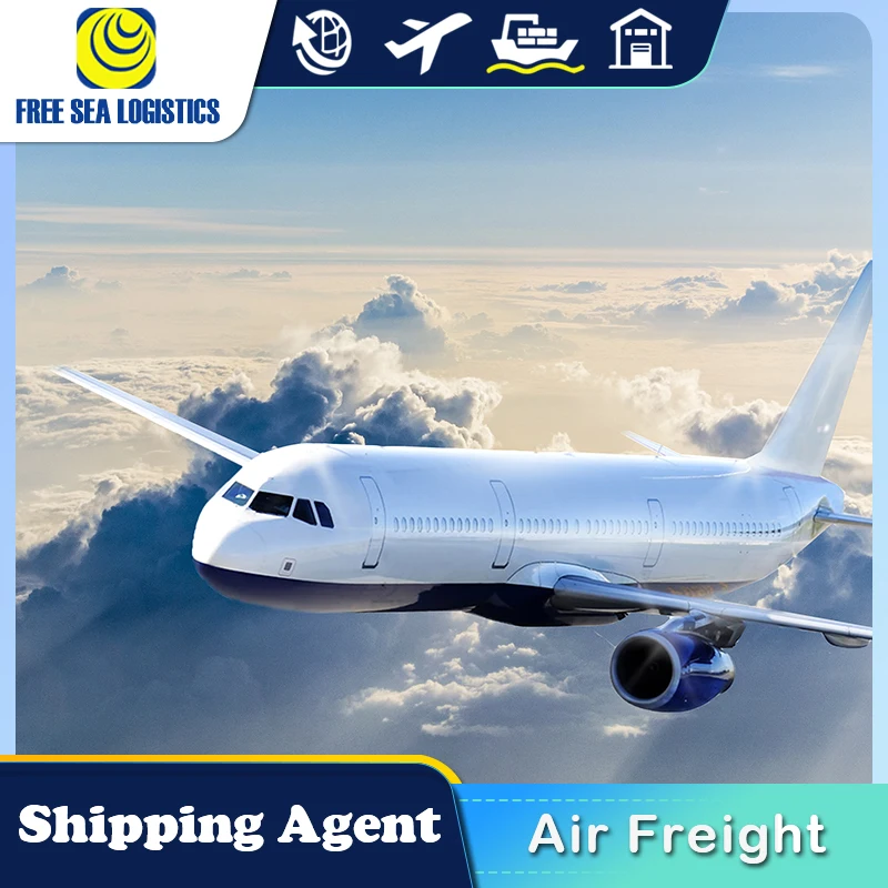 Shipping Agent Sea Freight Forwarder  From China To Saudi Arabia Egypt Turkey