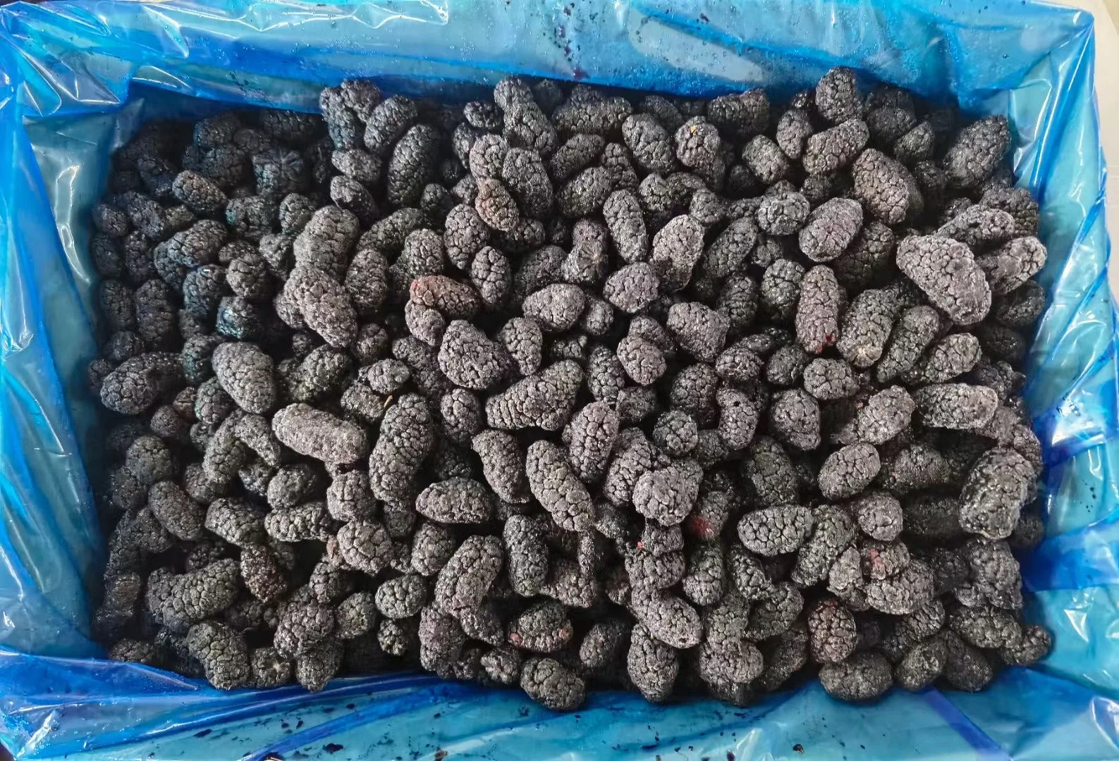 Прямая поставка с завода оптовая продажа фрукты ежевика здоровая замороженная Ежевика