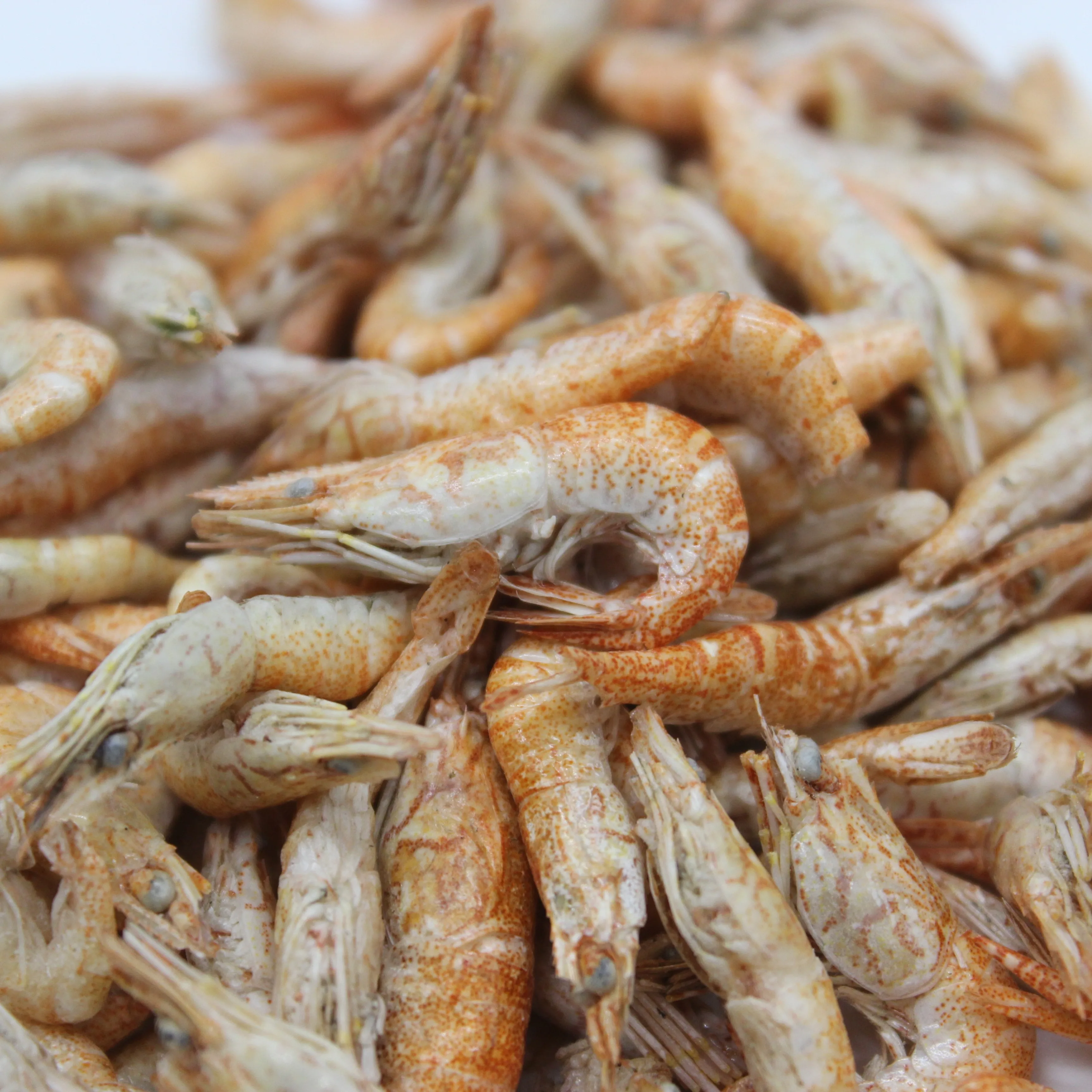 
Top quality organic dried shrimp aquarium fish food 