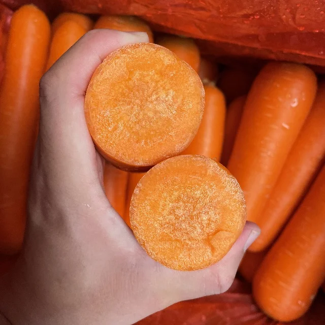4kg China Fresh Carrot Export Oman  80-150g