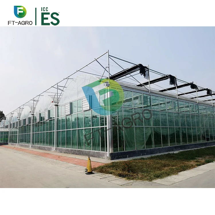9984  Tomato Planting Tempered Glass Greenhouse With Complete System