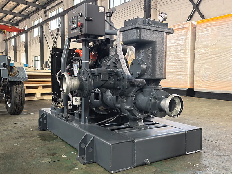 High flow horizontal cast iron diesel engine irrigation pump sewage pump