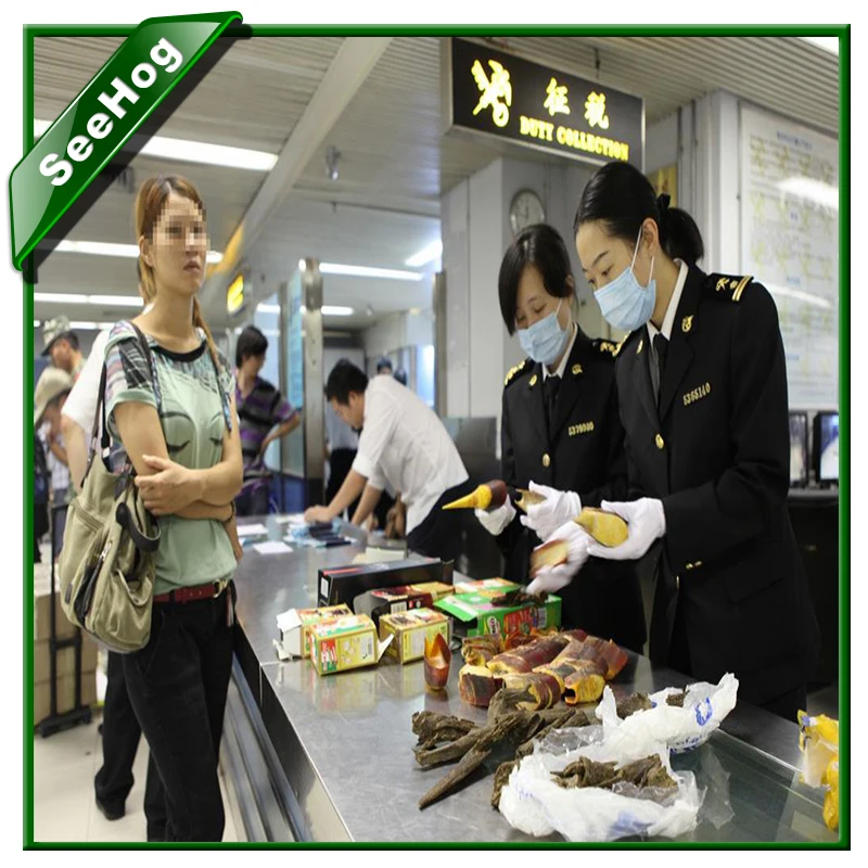 Customs Clearance For Wireless Network Security Device in Ningbo