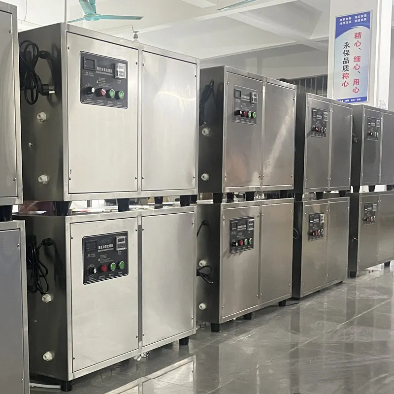 China manufacturer ozone system 10-1000g customized ozone generator for aquarium