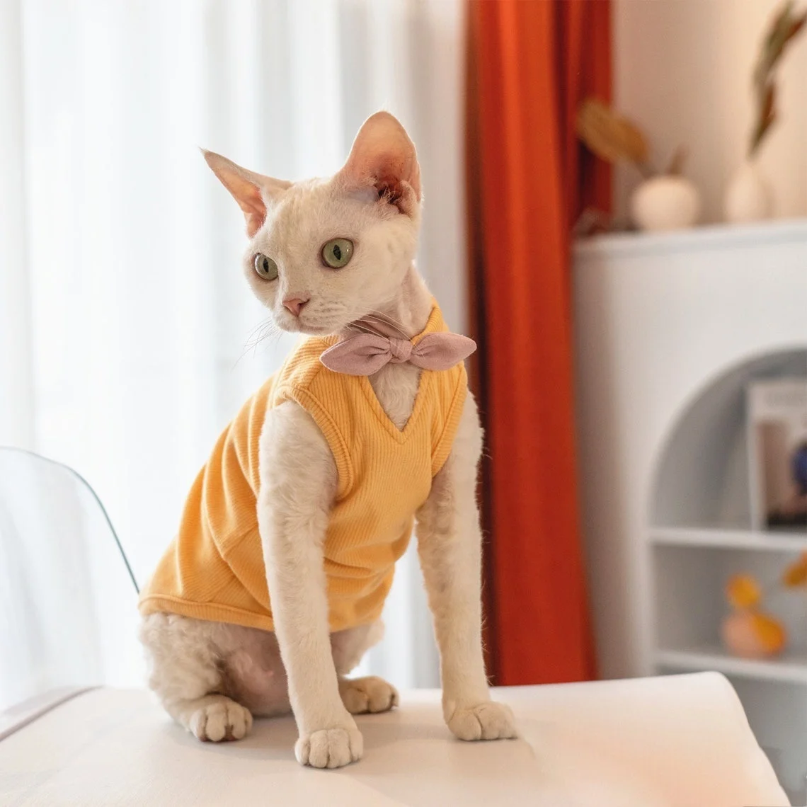 Sphynx T-shirt Hairless Cat Clothes Summer Vest Romper Catsuit Jumpsuit Sphinx Devon Cornish Rex Siamese Kitten Pet Home Wear