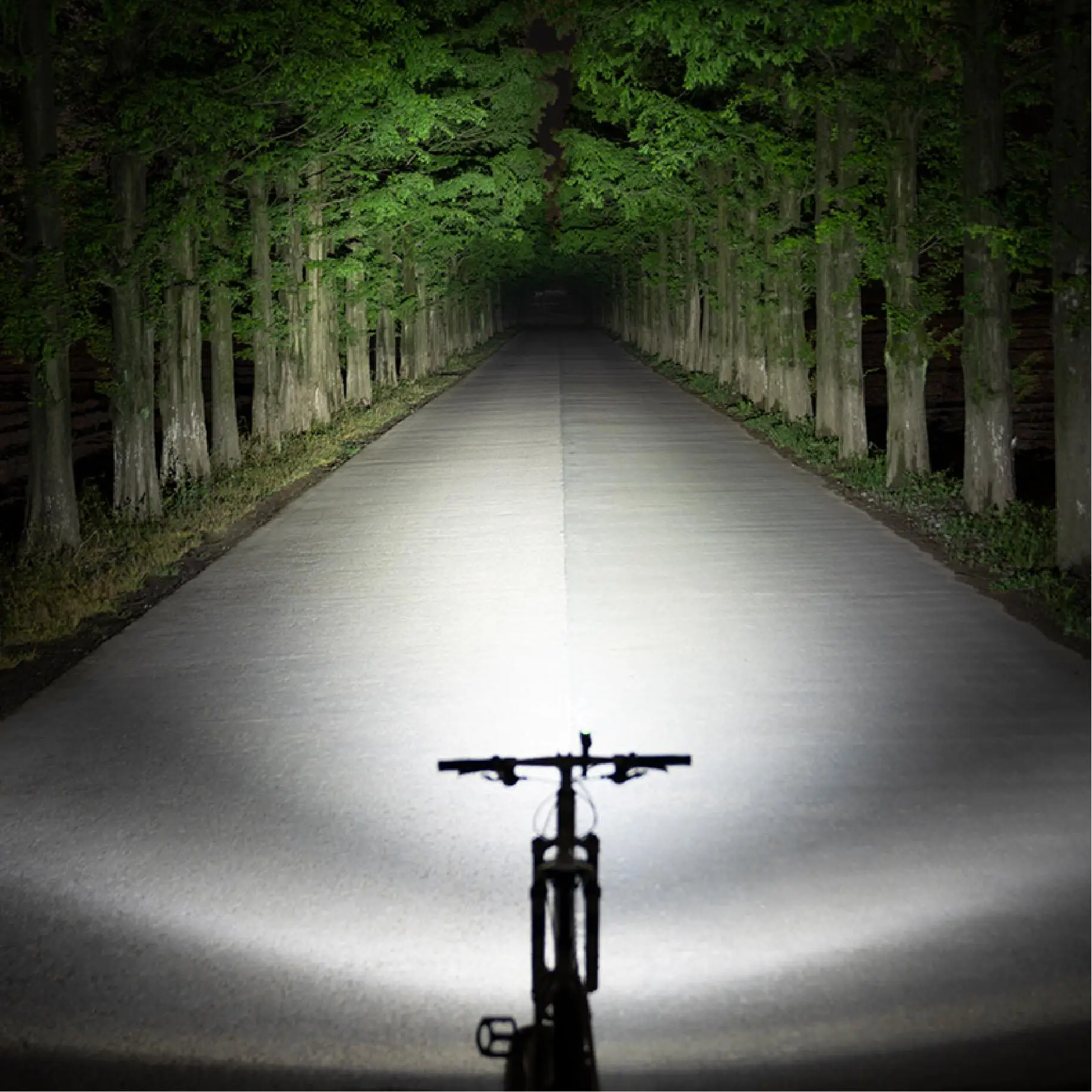 
Professional High Power Bike Front Light Led Light For Biking 