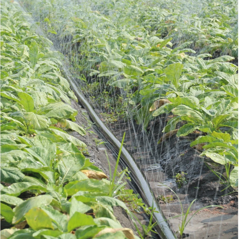 Agriculture Irrigation System Farm Irrigation Sprinkler Hose Micro Spray Tape Garden Rain Hose