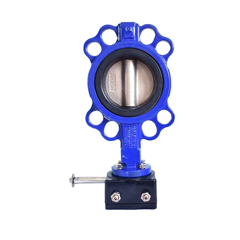 Hot Sale Rubber Seat Cast Iron Steel Flanged 2 Inch Butterfly Valve With Price
