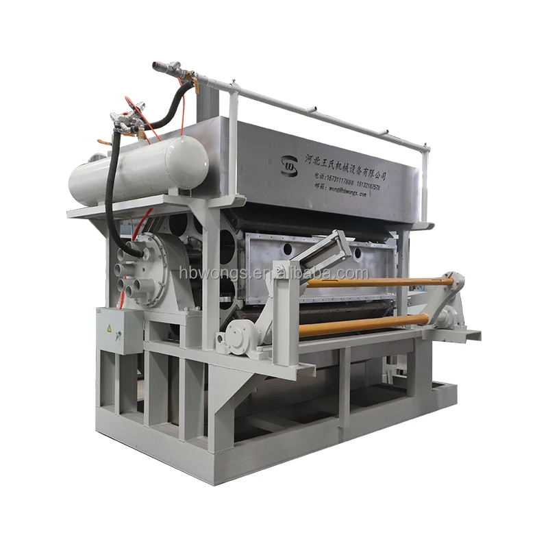 Paper Production Line Making Machine Egg Tray Machine Automatic for Paper Factory