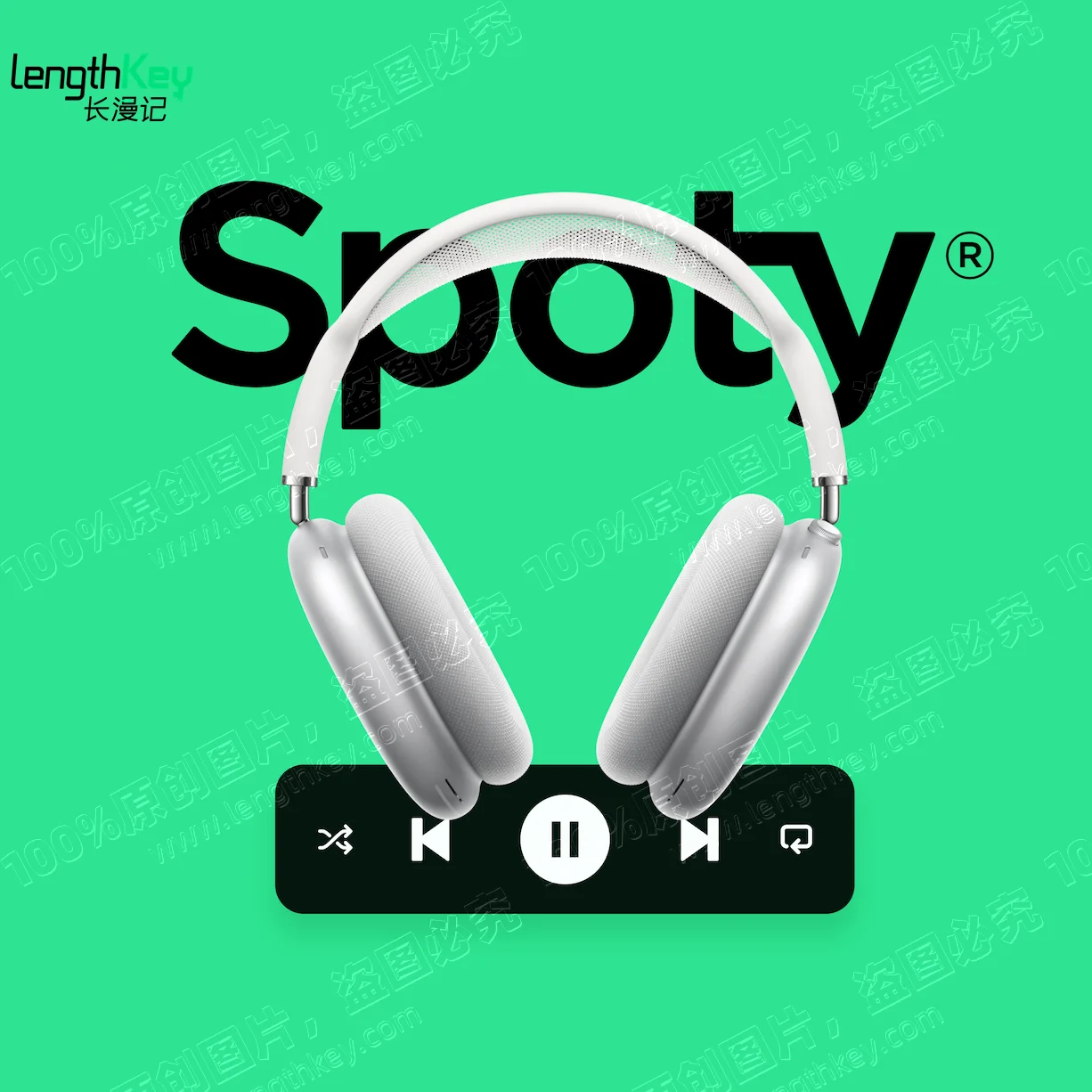 24/7 Online Official Music Spoty Premium Account Email Delivery 2023 Stable and Safest 2/3/12 Months Subscription