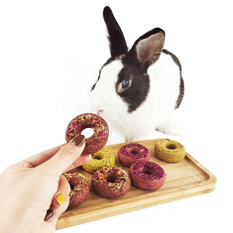  Pet Rabbit Hamster Guinea Pig Small Animal Molar Nutrition Donut Grass Cake hamster food