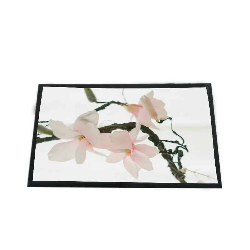 Original Full viewing 11.5 inch 2560x1600 High Brightness AMOLED  lvds MIPI display for Outdoor screen